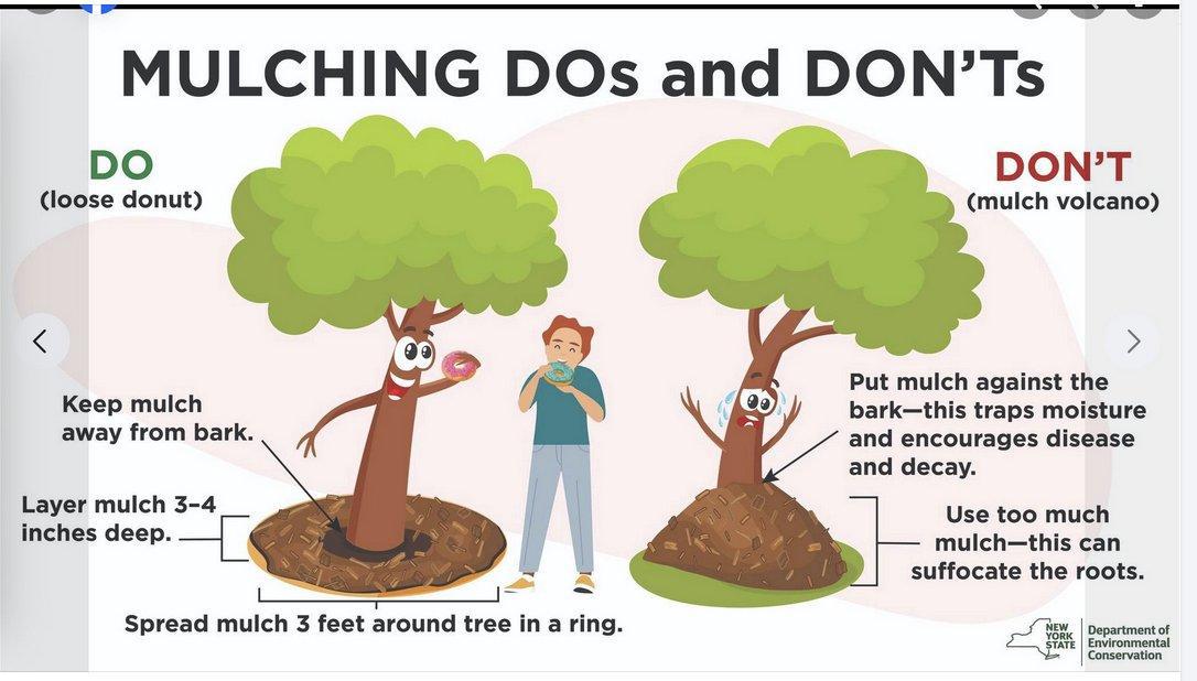 Mulching dos and donts